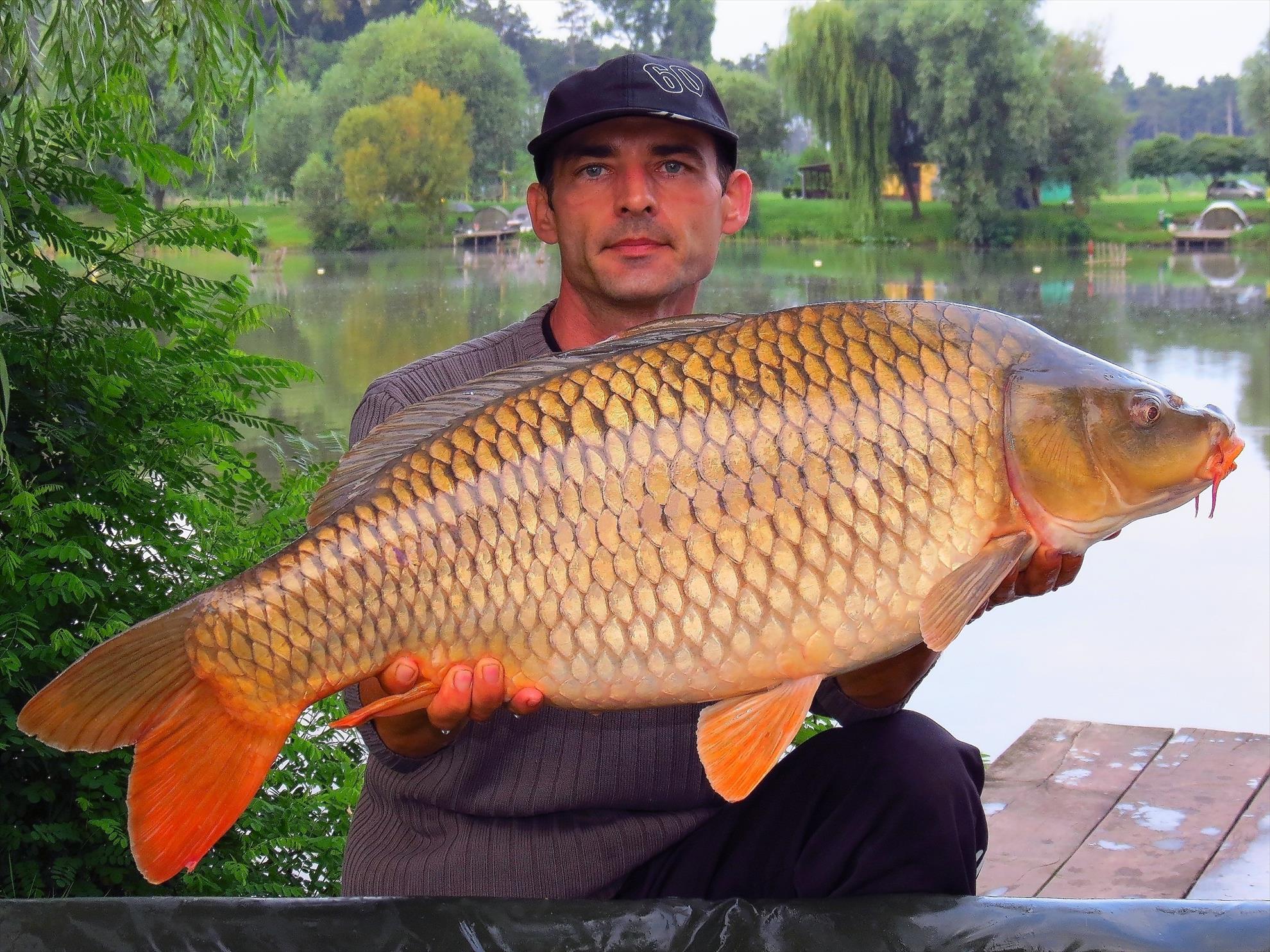 Palici - img5937---1096-kg.jpg